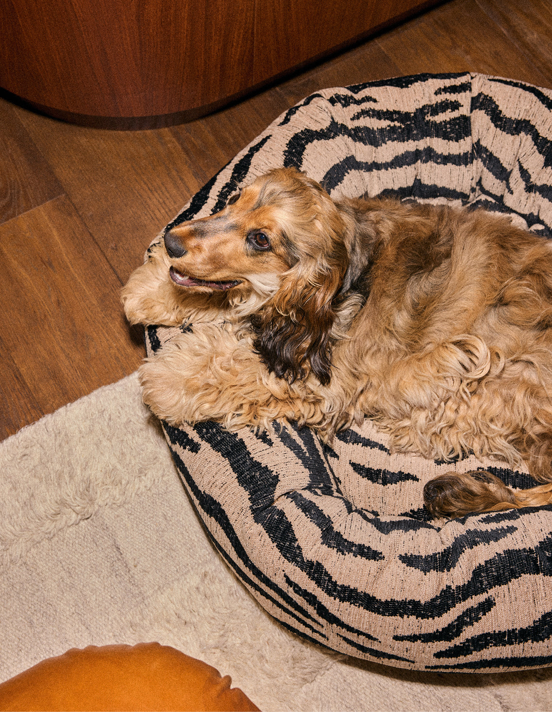 Zebra round dog bed - Afbeelding 3
