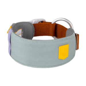 Alpha 360 Dog Collar Glacier Green