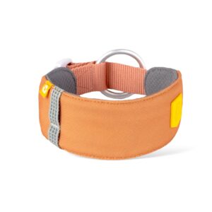 Alpha 360 Dog Collar Golden Hour