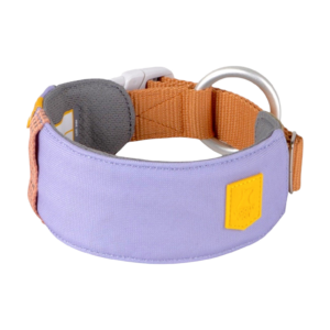 Alpha 360 Dog Collar Lavender