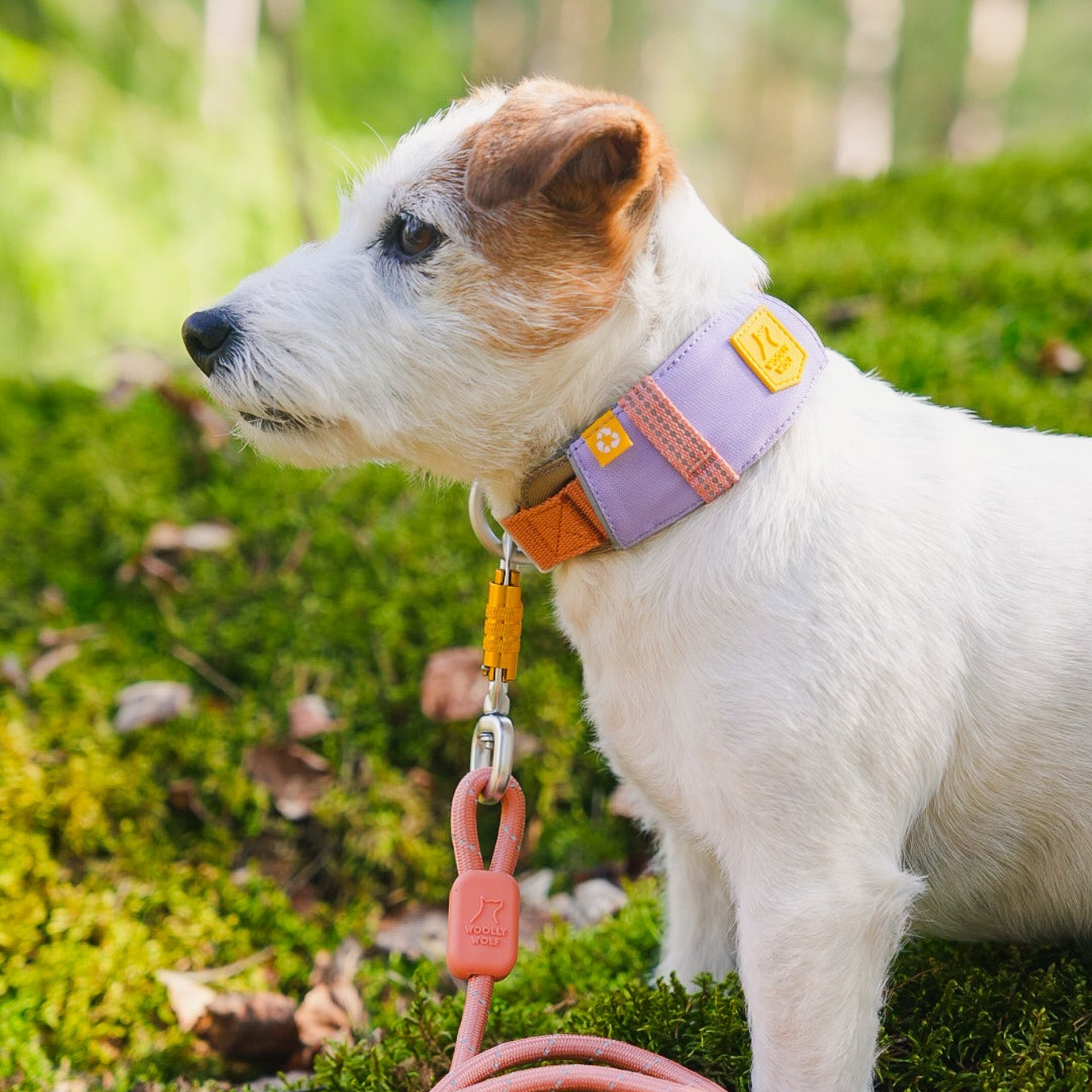 Alpha 360 Dog Collar Lavender - Afbeelding 4