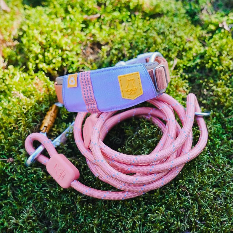 Alpha 360 Dog Collar Lavender - Afbeelding 6