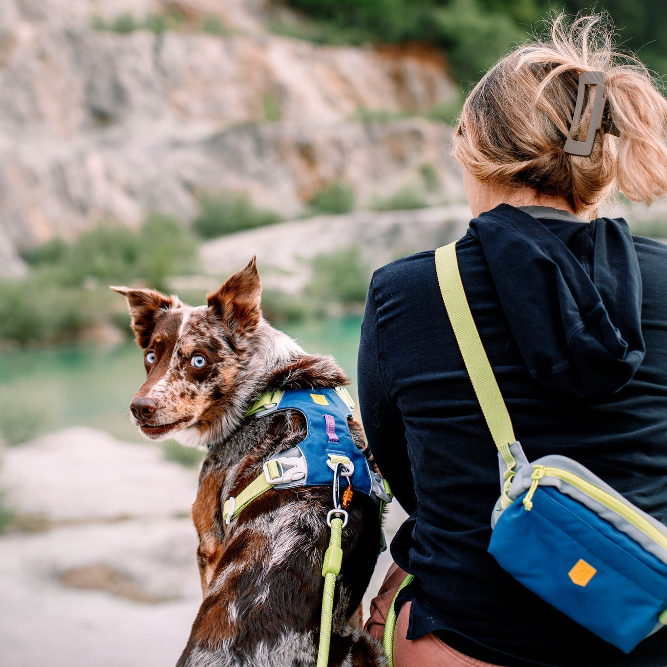 Alpha 360 Dog Harness Deep Teal - Afbeelding 8