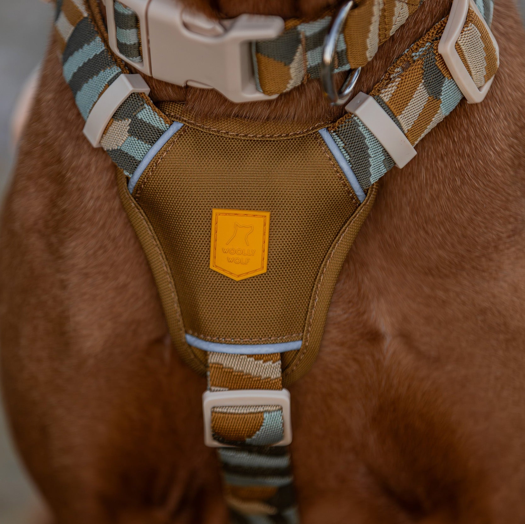 Cloudbeam Dog Harness - Afbeelding 7