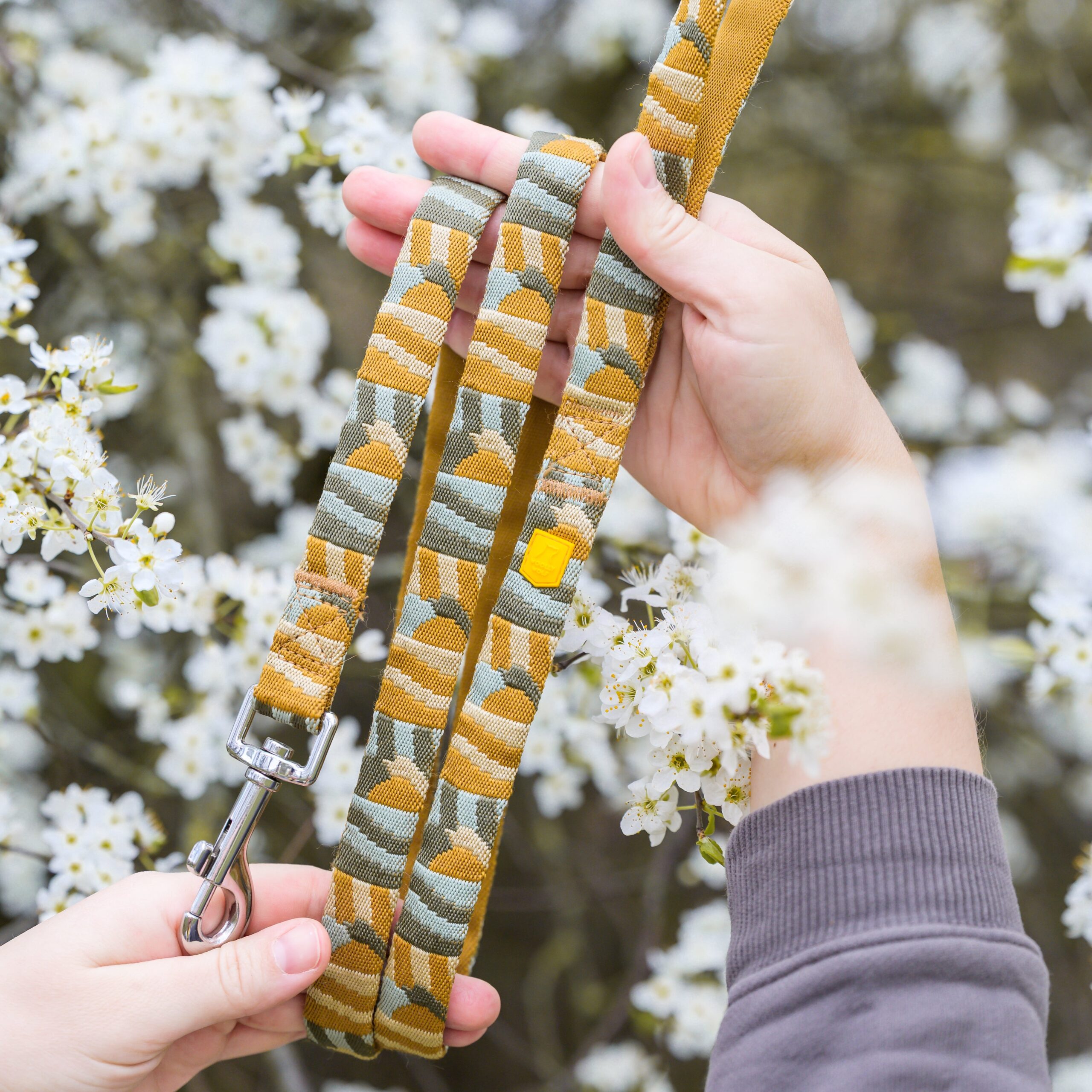 Cloudbeam Dog Leash - Afbeelding 7
