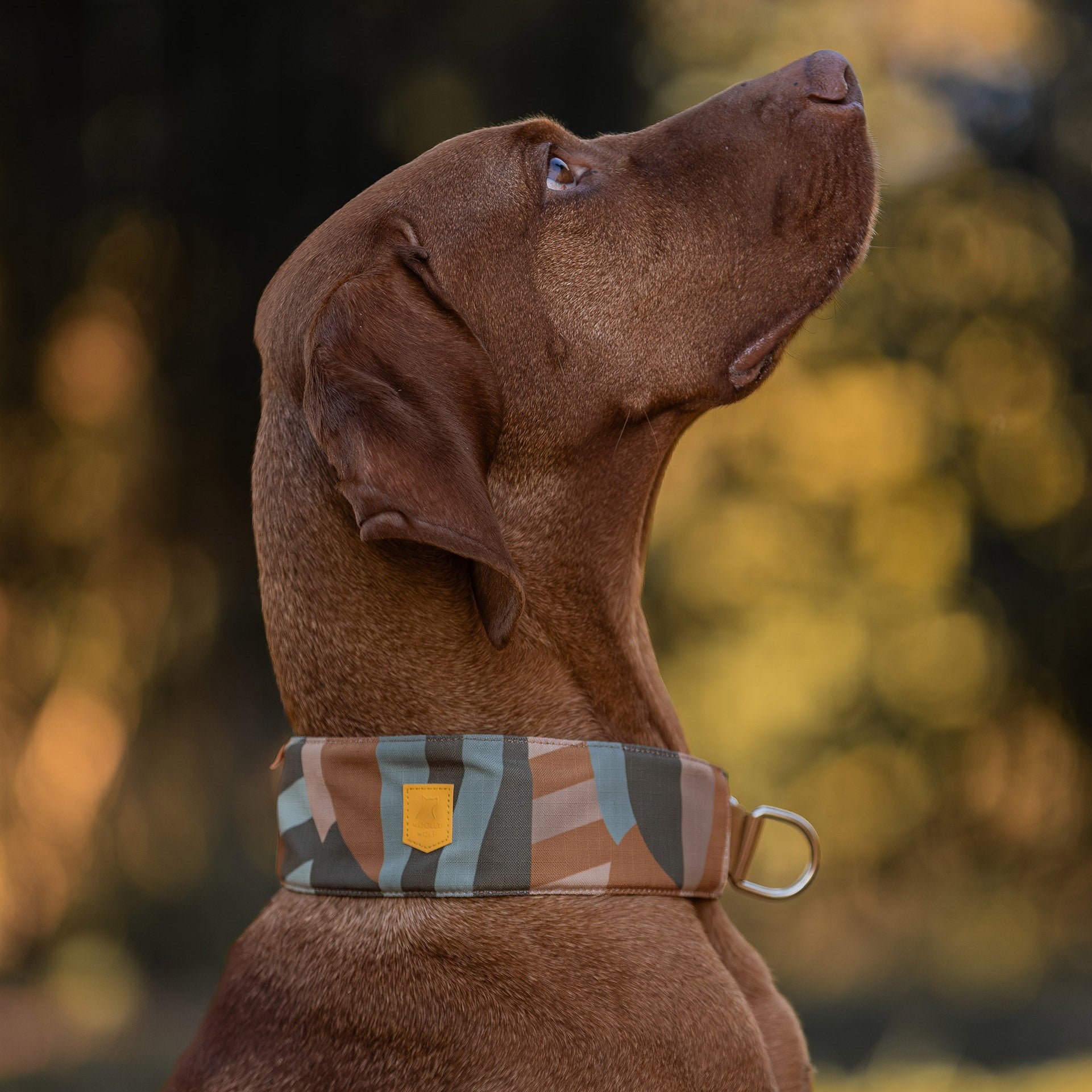 Cloudbeam Soft Martingale Collar - Afbeelding 5