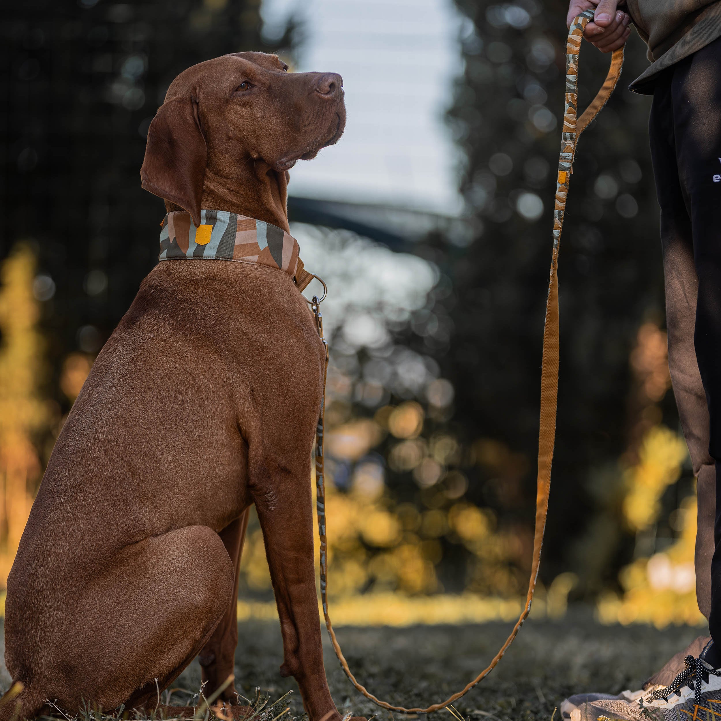 Cloudbeam Soft Martingale Collar - Afbeelding 8