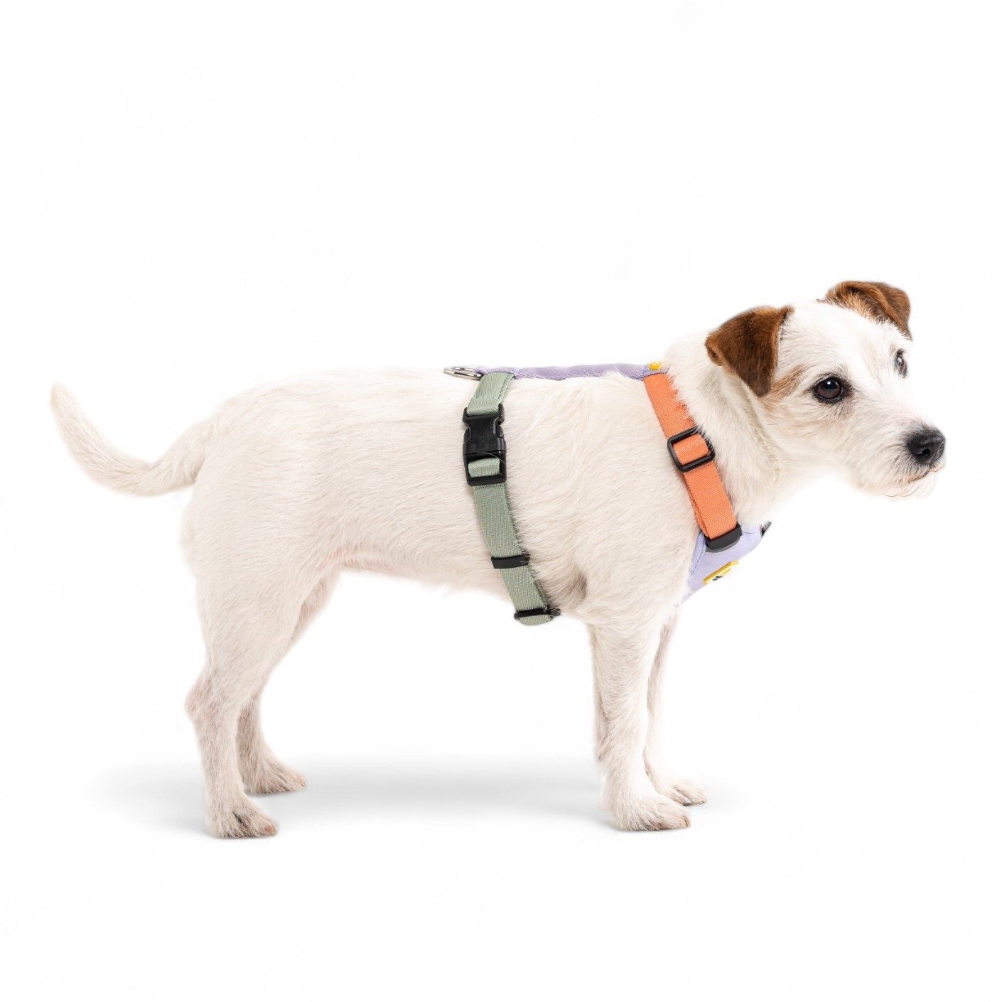 Color Block Dog Harness Salmon Pink Mix - Afbeelding 3