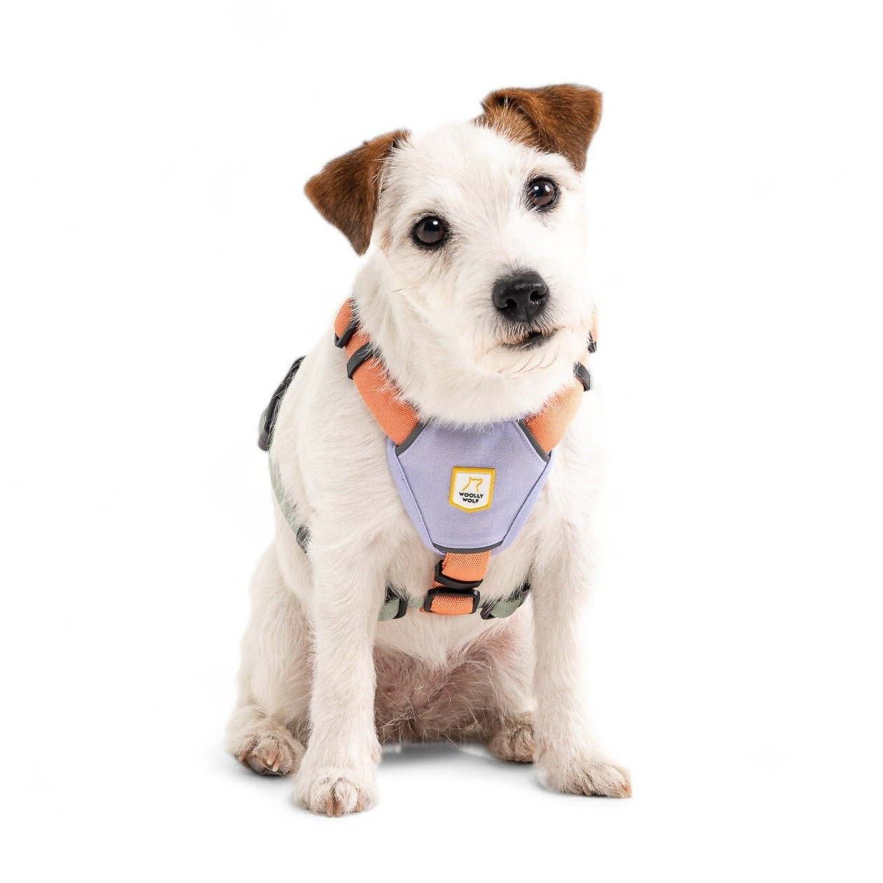 Color Block Dog Harness Salmon Pink Mix - Afbeelding 2
