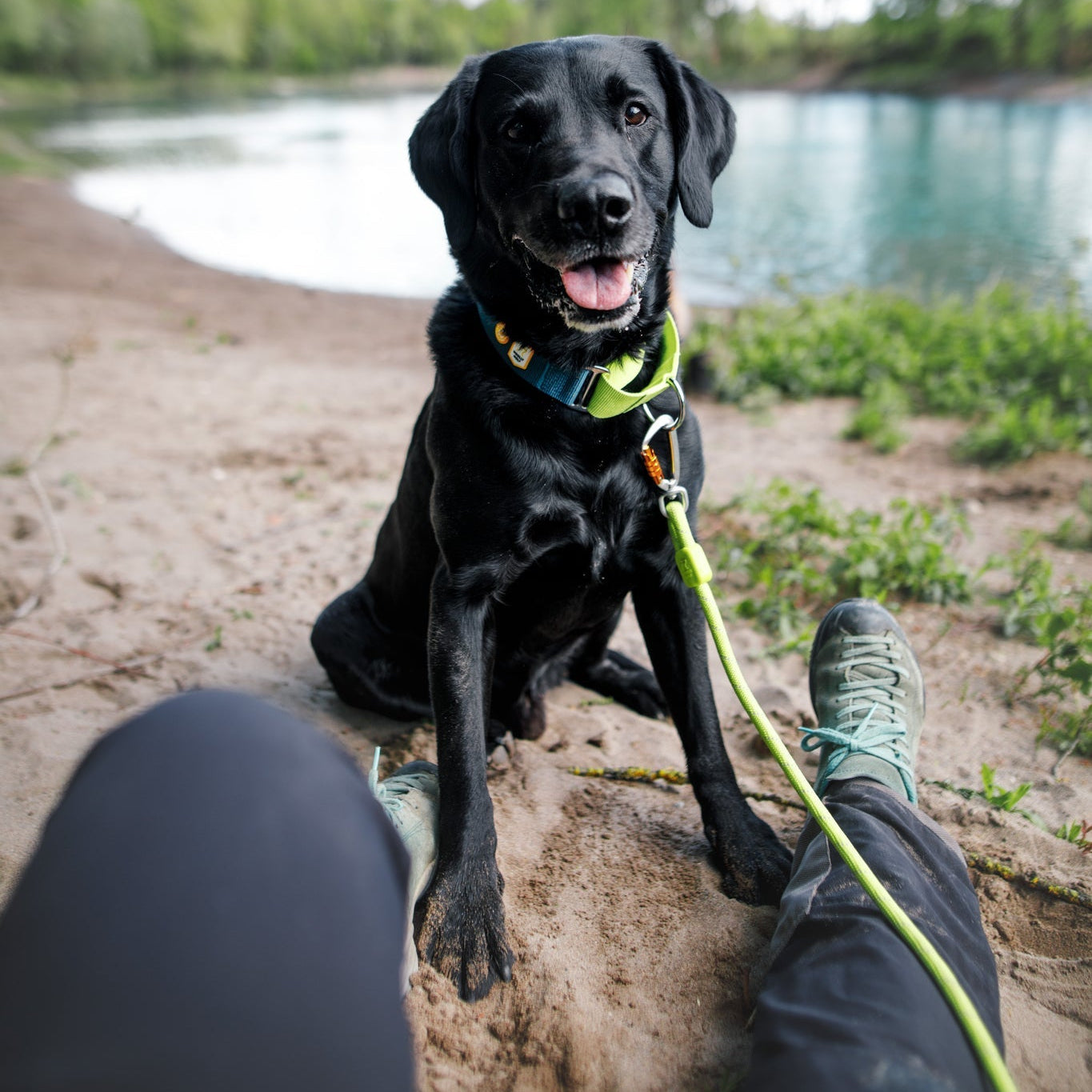 Rope Dog Leash Lime Outlet - Afbeelding 3
