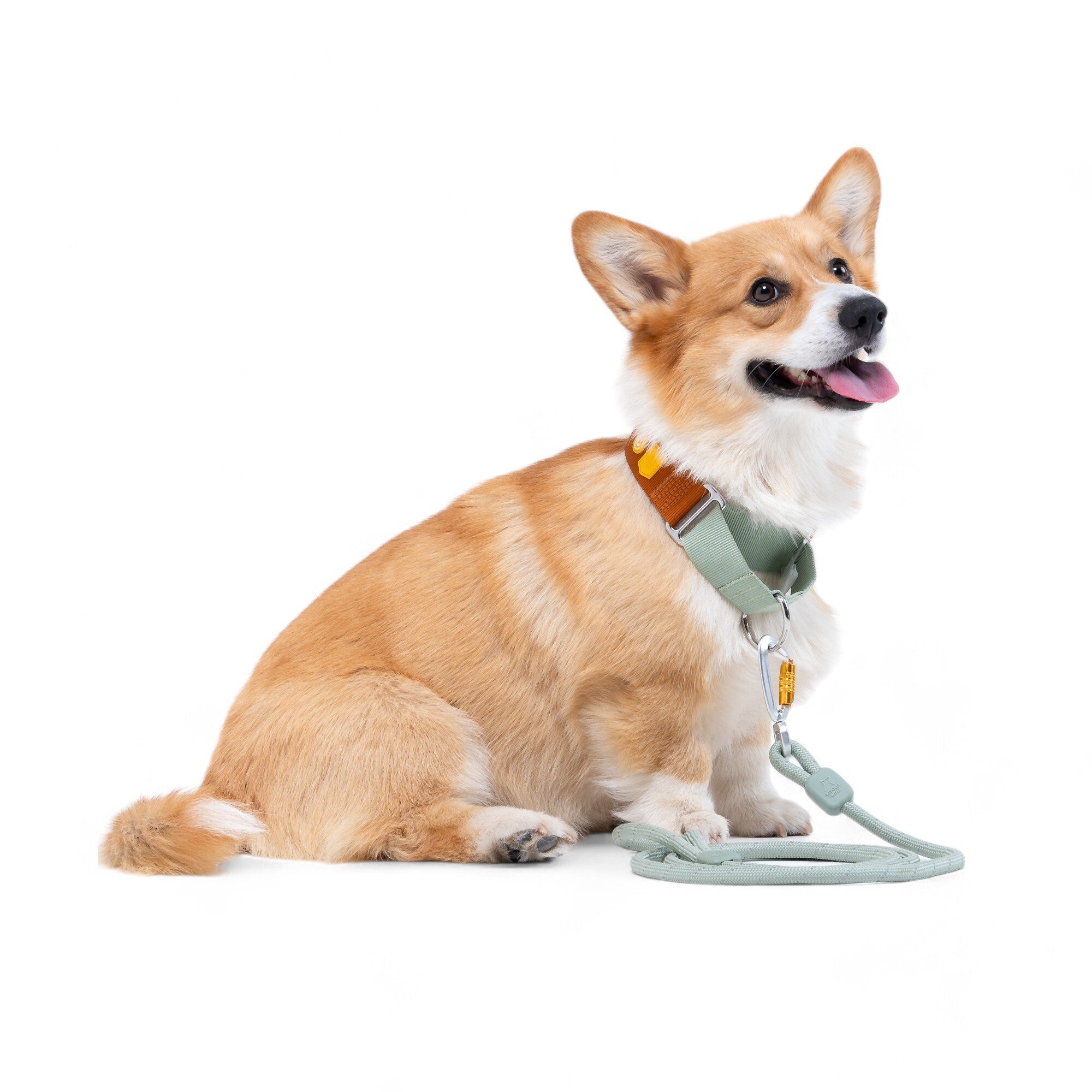Color Block Martingale Dog Collar Terracotta Mix - Afbeelding 3