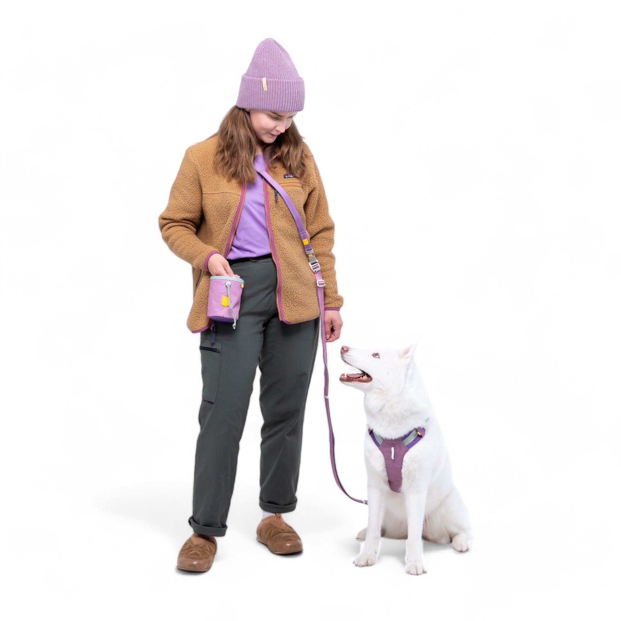 Color Block Multi-Use Dog Leash Mauve Mix - Afbeelding 3