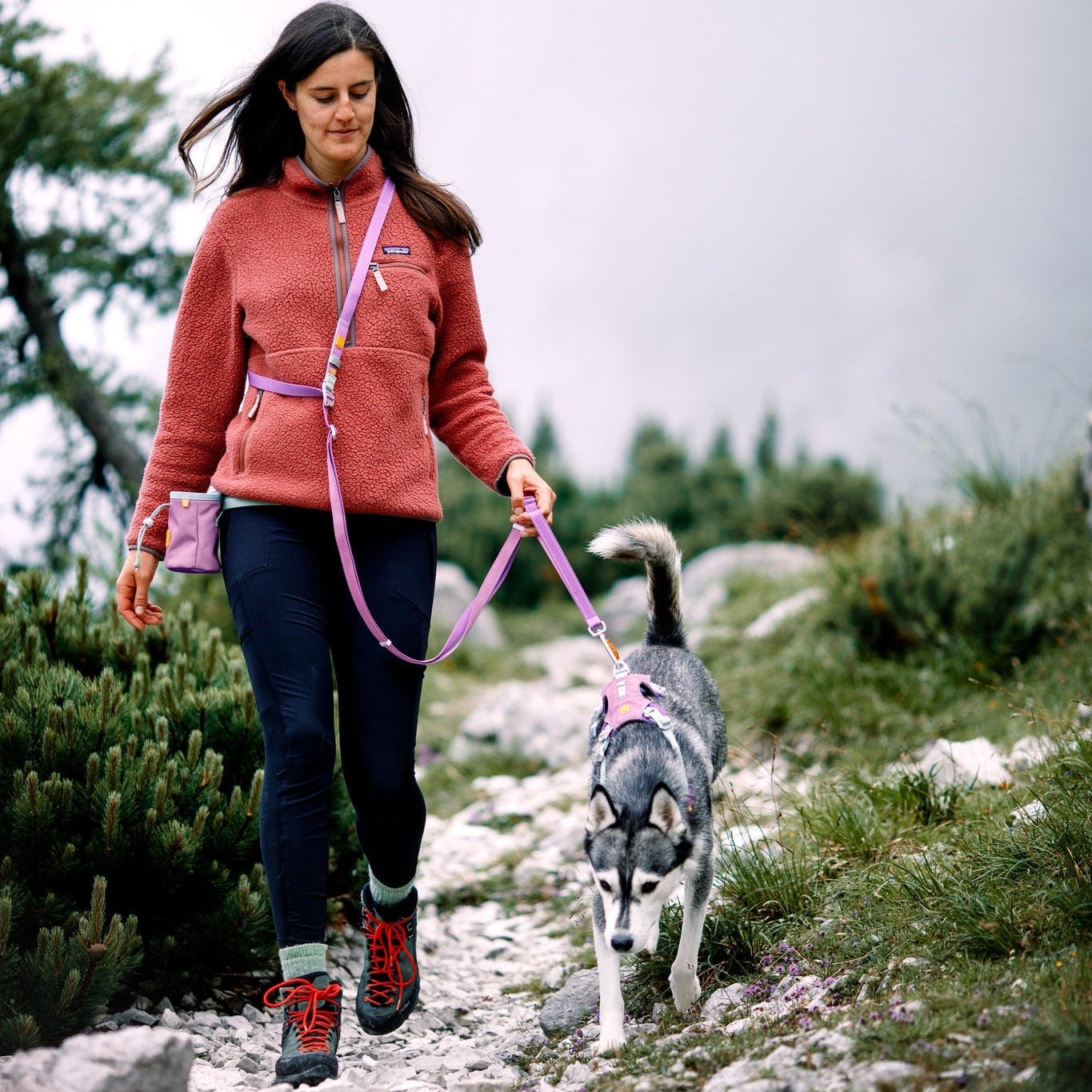 Color Block Multi-Use Dog Leash Mauve Mix - Afbeelding 2