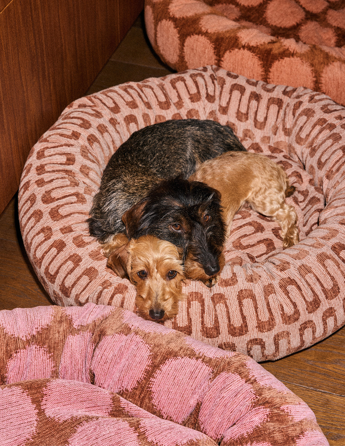 Retro wave round dog bed - Afbeelding 2