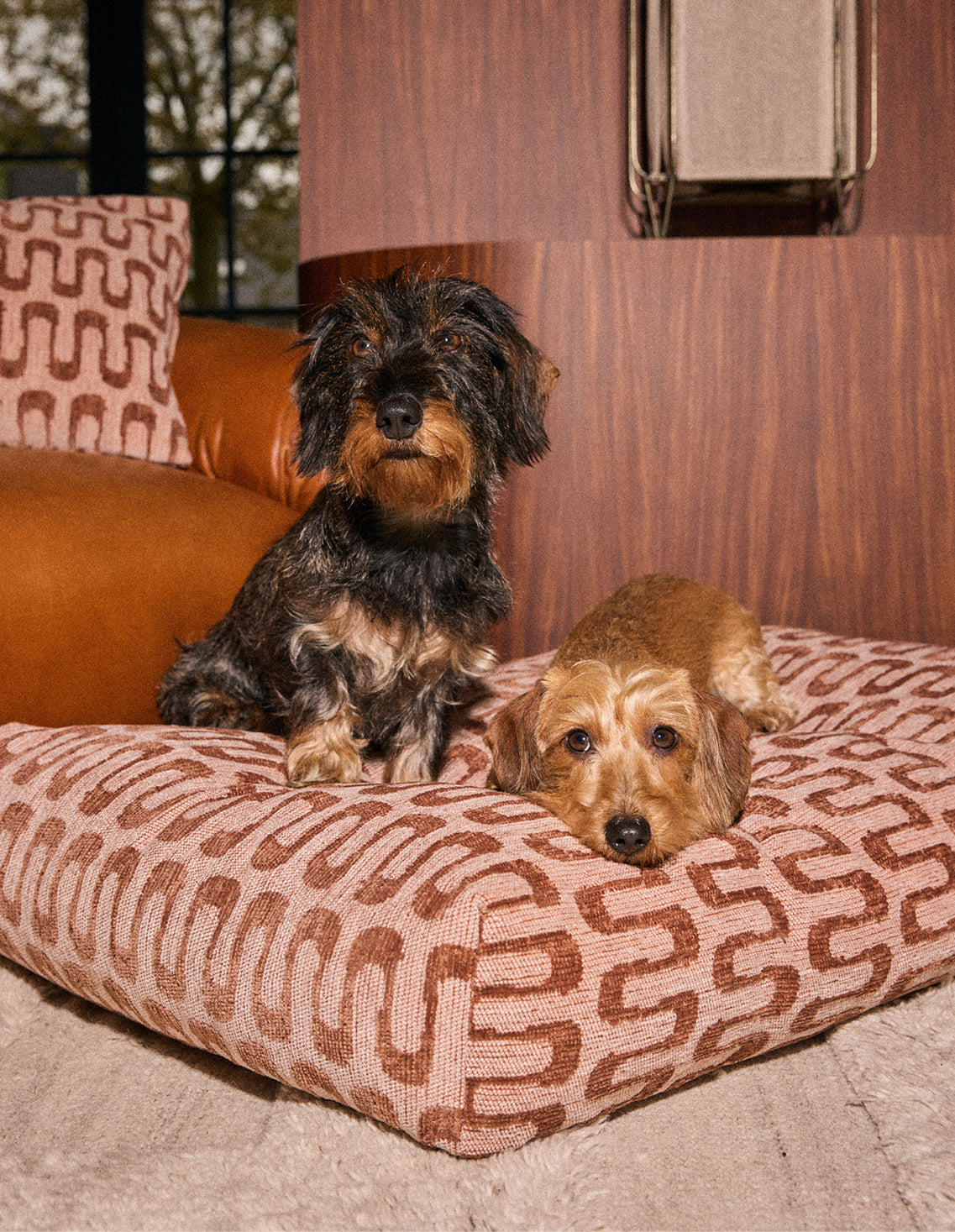 Retro wave dog bed - Afbeelding 2