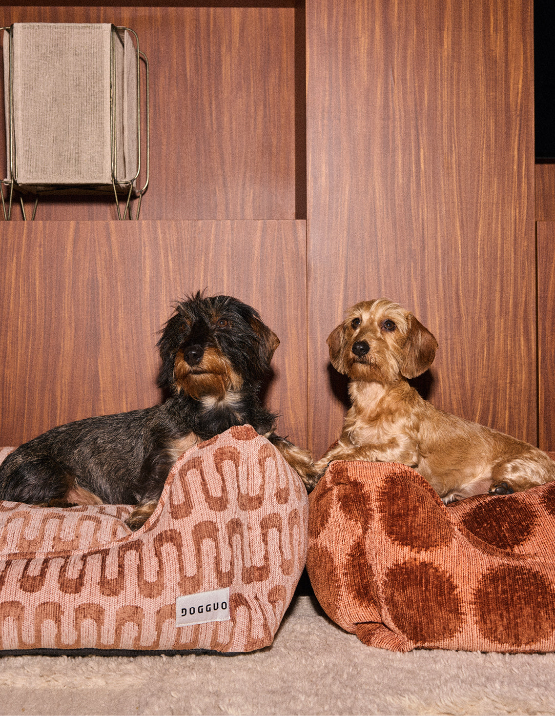 Dot sofa dog bed - Afbeelding 2