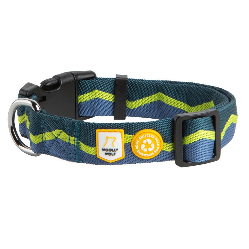 Horizon Dog Collar