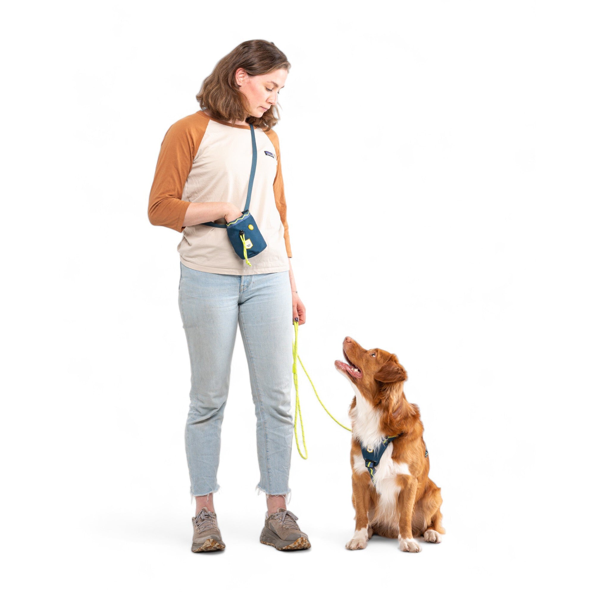 Horizon Dog Harness - Afbeelding 4