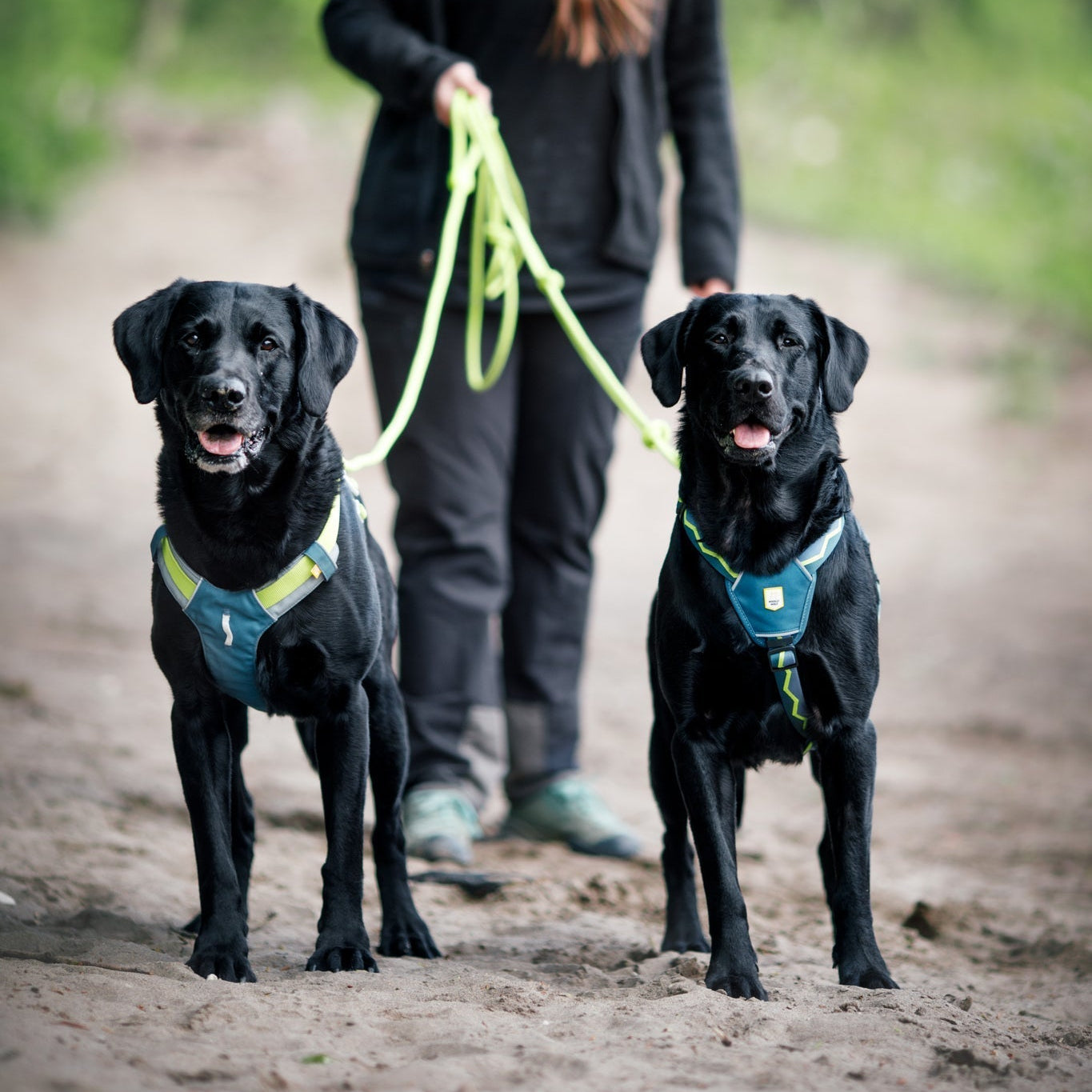 Horizon Dog Harness - Afbeelding 5