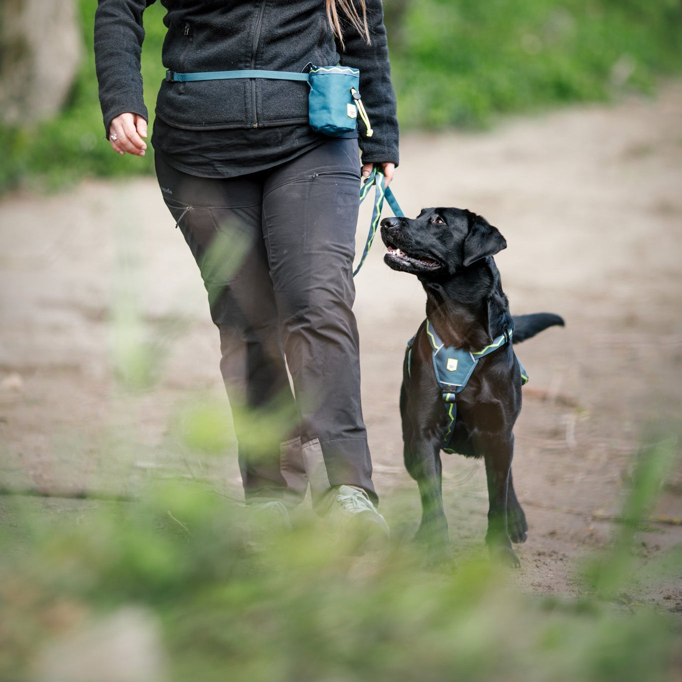 Horizon Dog Leash - Afbeelding 2