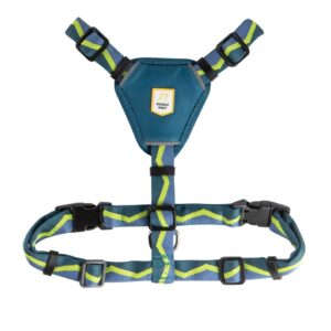 Horizon Dog Harness