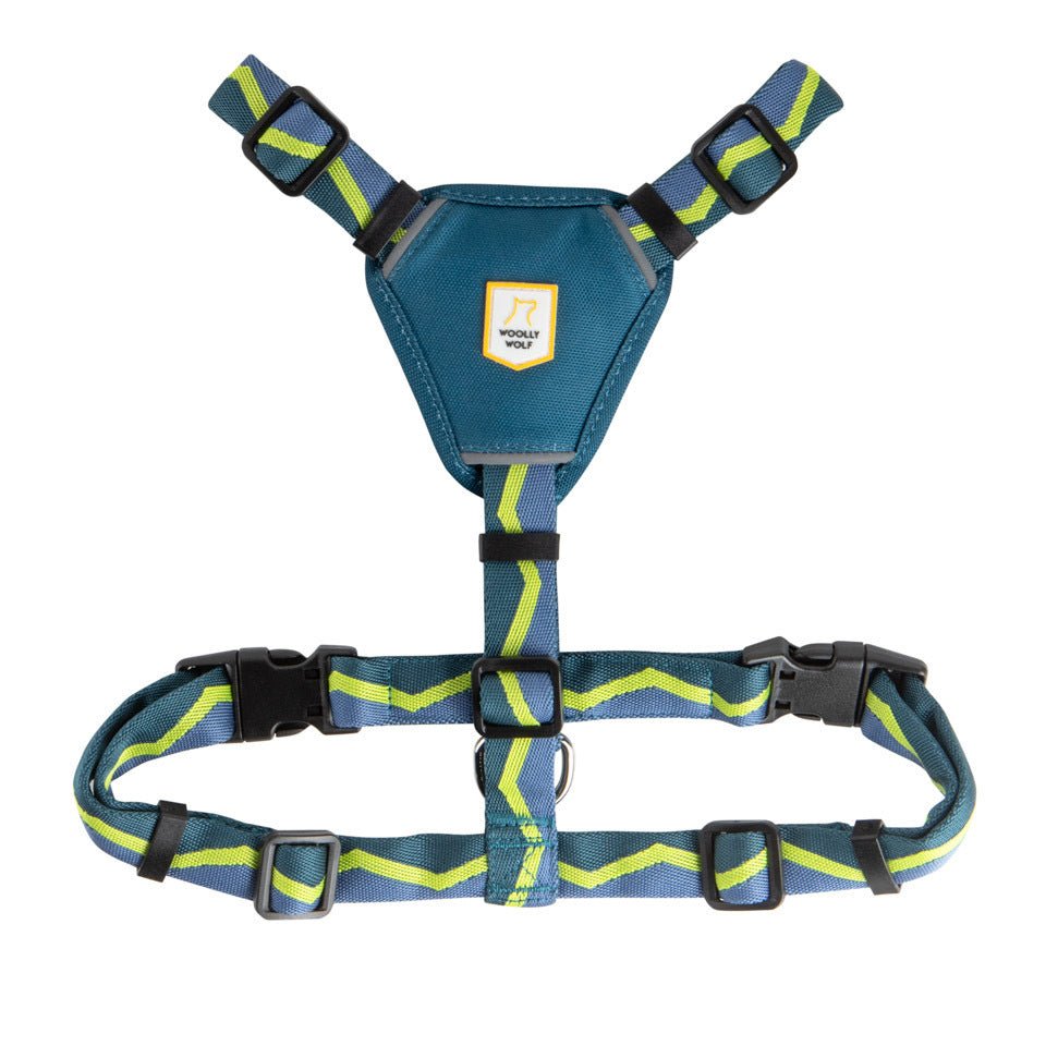 Horizon Dog Harness