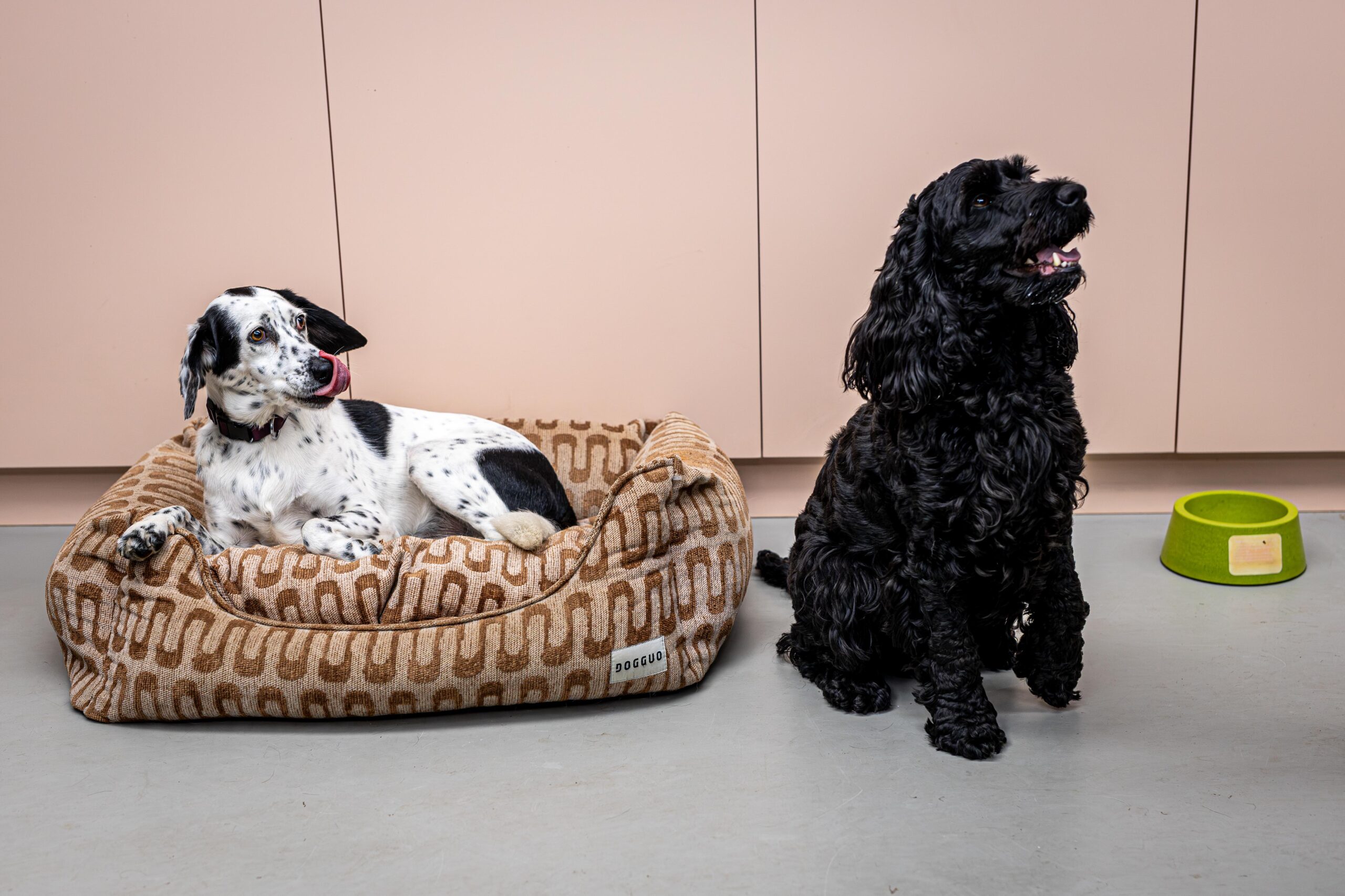Retro wave sofa dog bed — Brown/Beige - Afbeelding 4