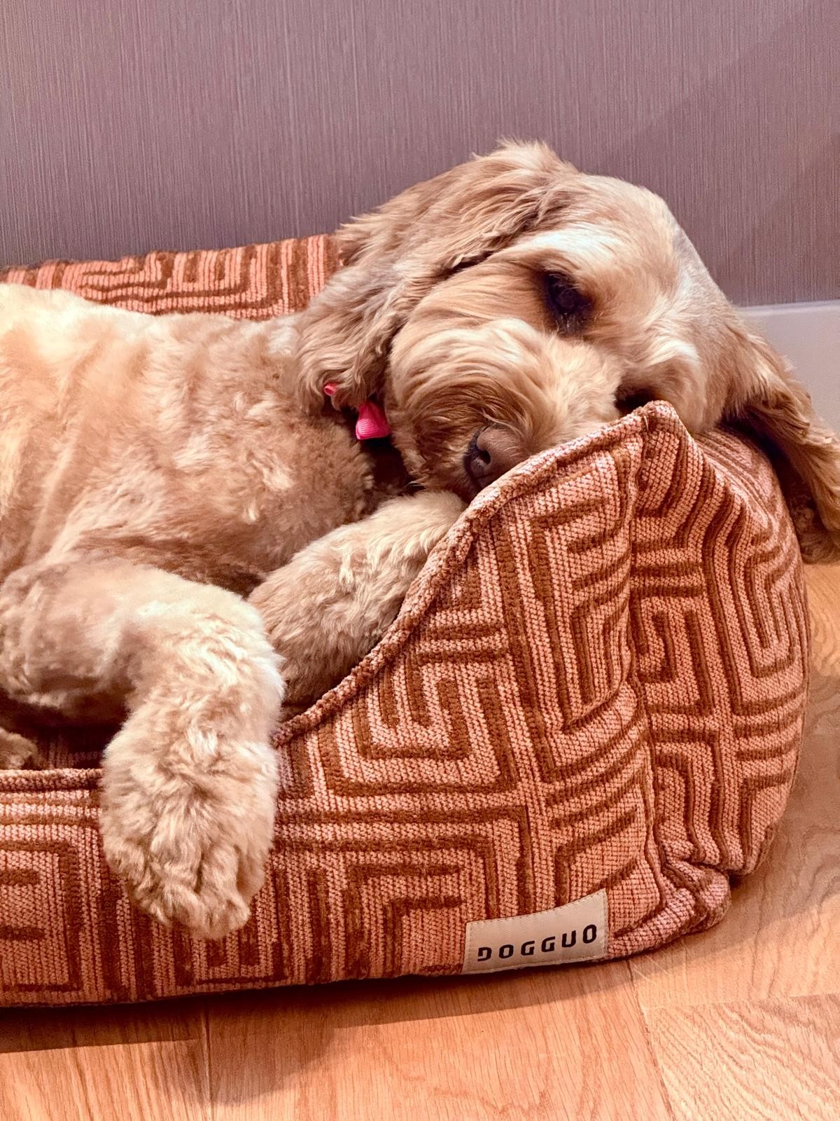 Maze sofa dog bed - Afbeelding 3