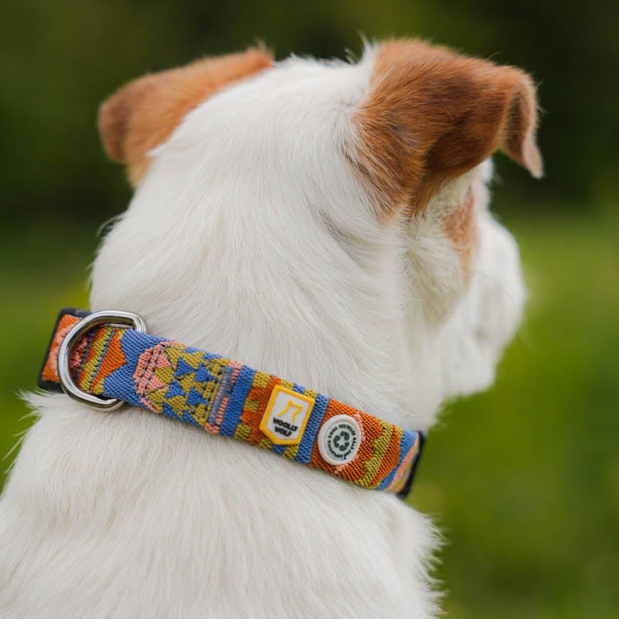 Nightless Night Dog Collar - Afbeelding 2