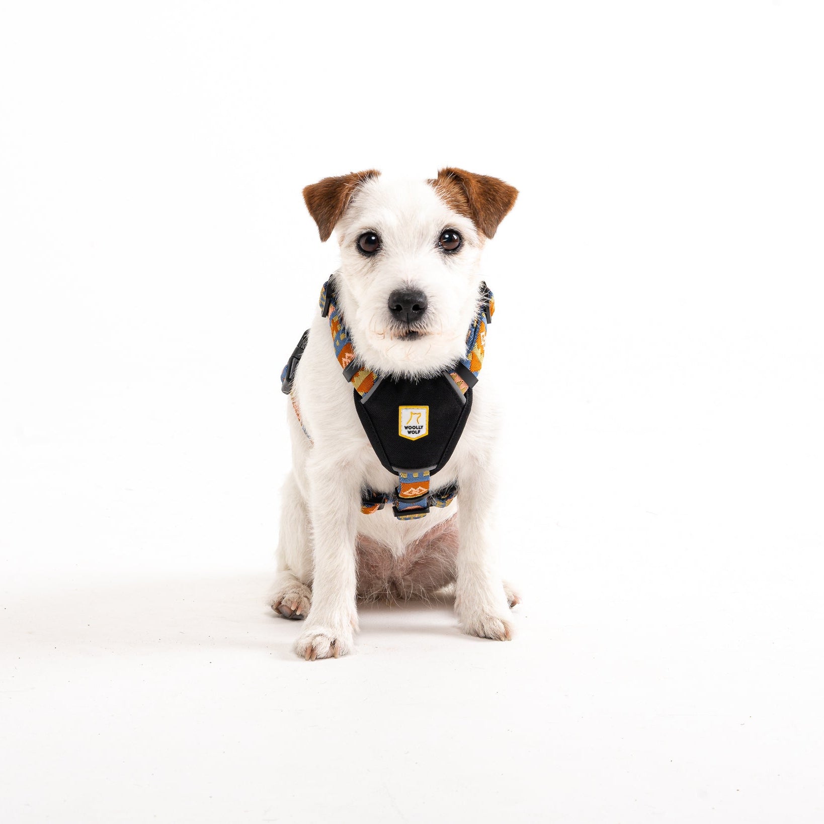 Nightless Night Dog Harness - Afbeelding 2