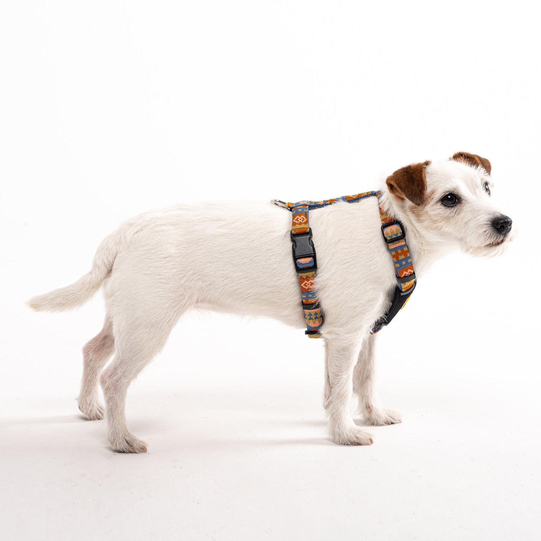 Nightless Night Dog Harness - Afbeelding 7