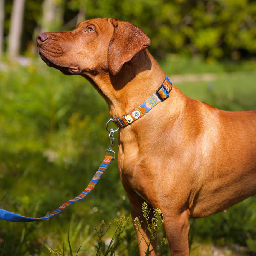 Nightless Night Dog Leash - Afbeelding 4