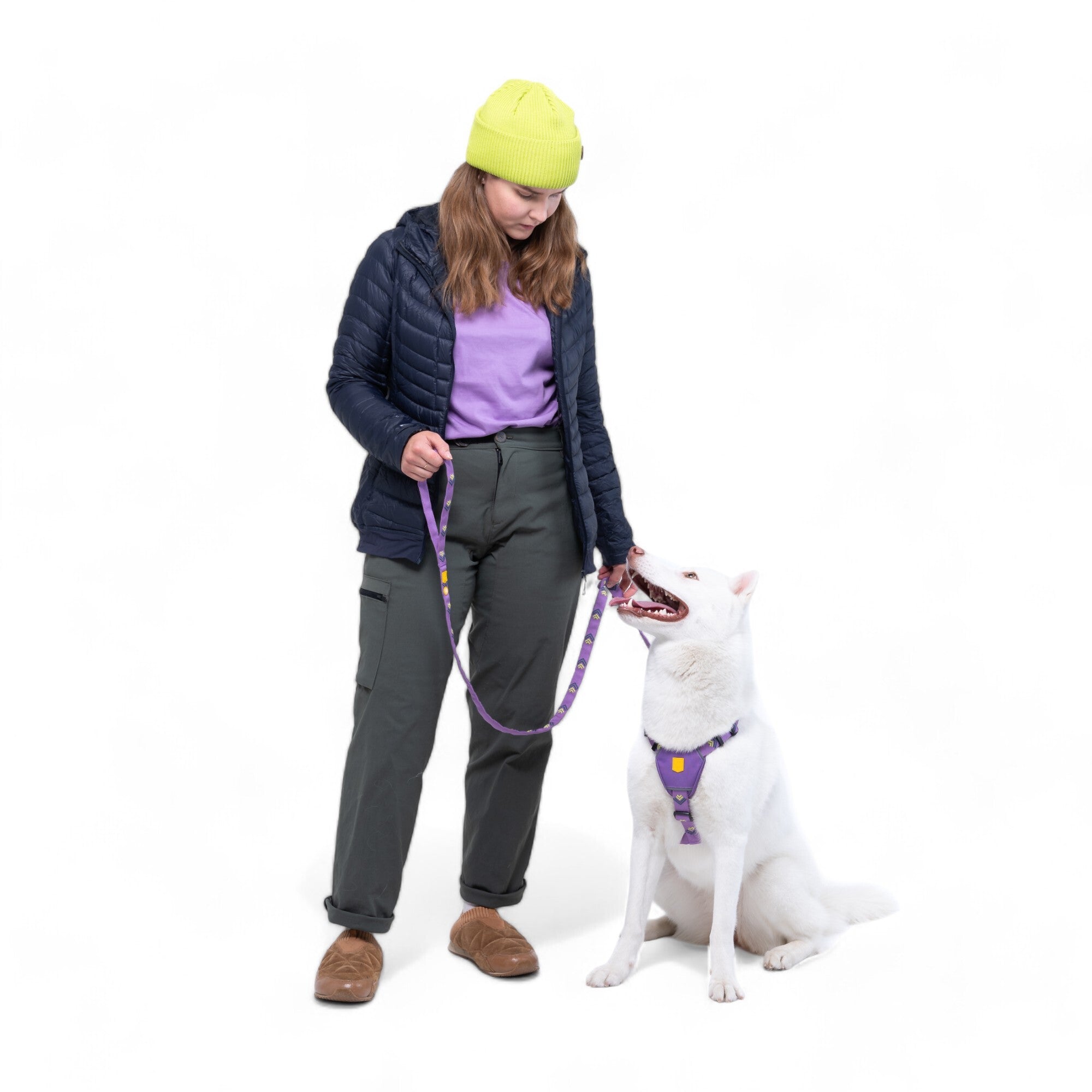 Northern Lights Dog Harness - Afbeelding 6