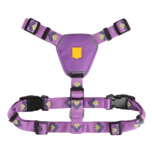 Northern Lights Dog Harness