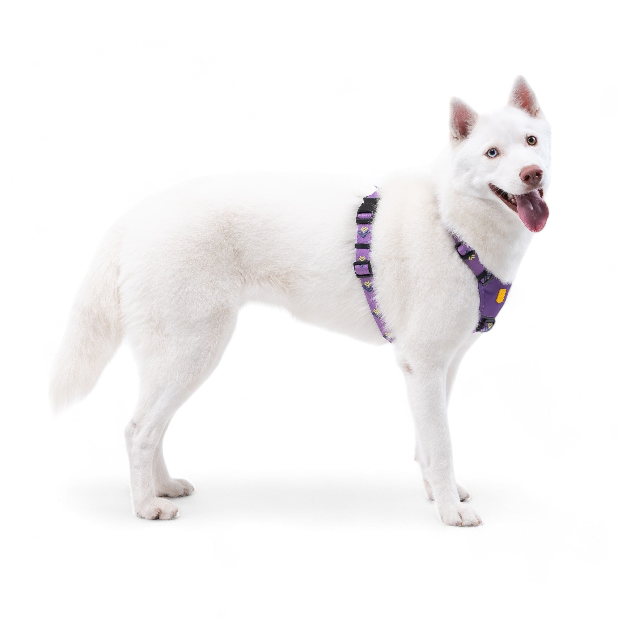 Northern Lights Dog Harness - Afbeelding 5