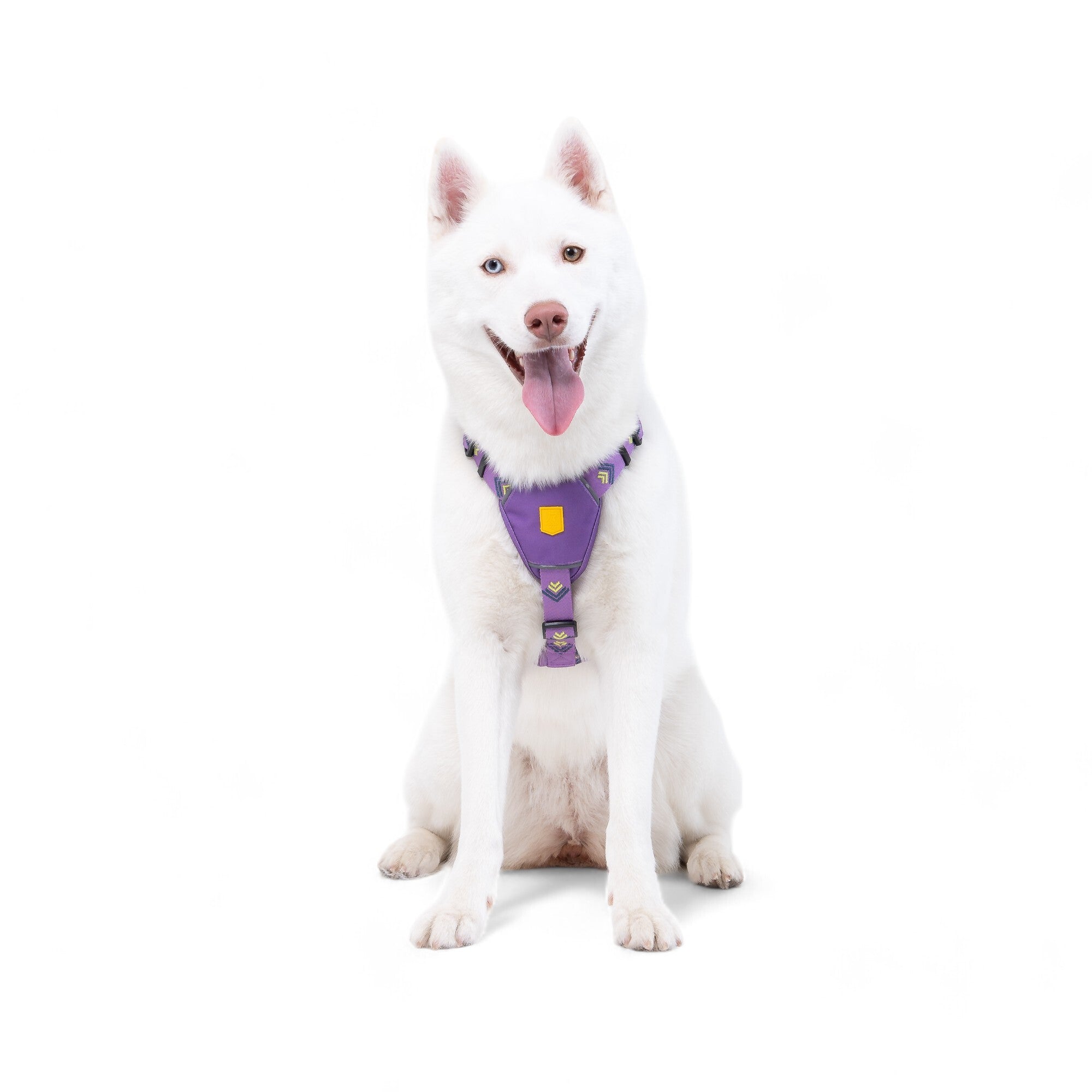 Northern Lights Dog Harness - Afbeelding 2