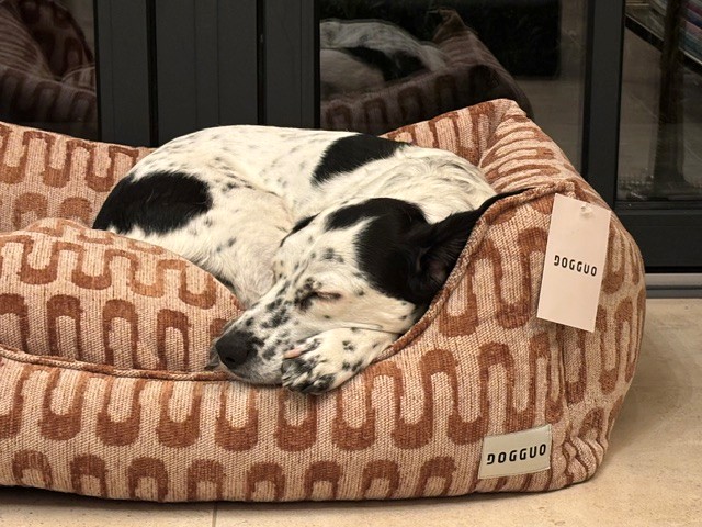 Retro wave sofa dog bed — Brown/Beige - Afbeelding 3