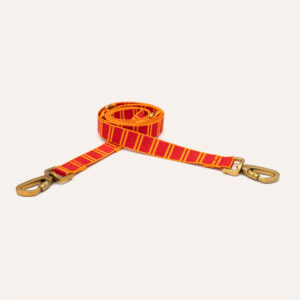 Stripe leash