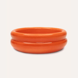 Double row food bowl