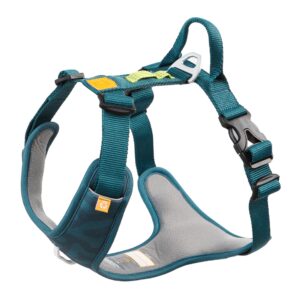 Roam Dog Harness Deep Teal