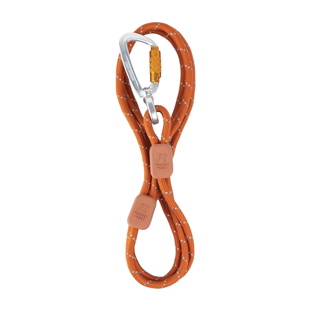 Rope Dog Leash Thin Terracotta