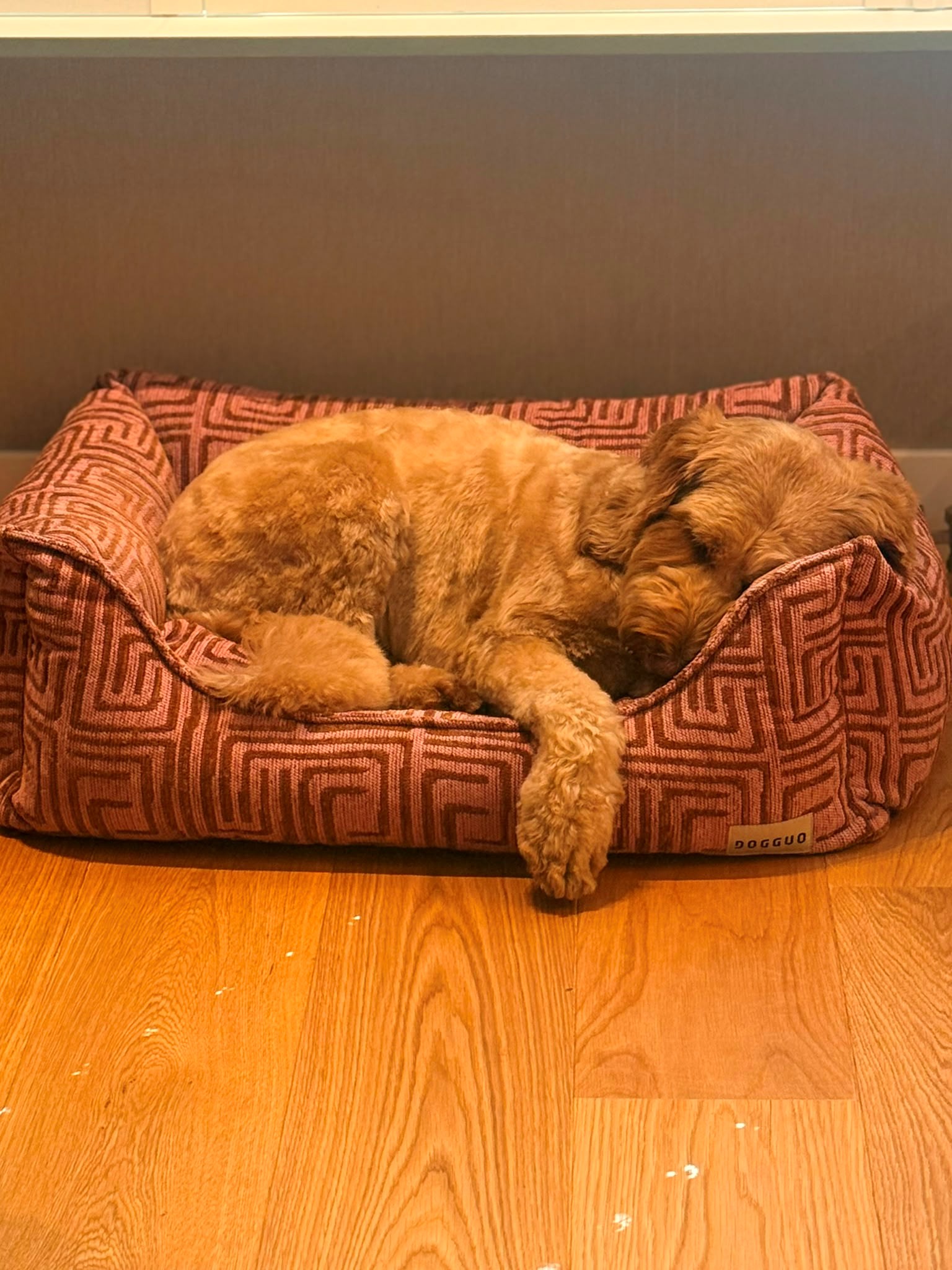 Maze sofa dog bed - Afbeelding 4