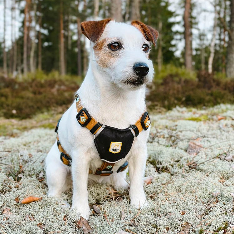 Sea To Summit Dog Harness - Afbeelding 4