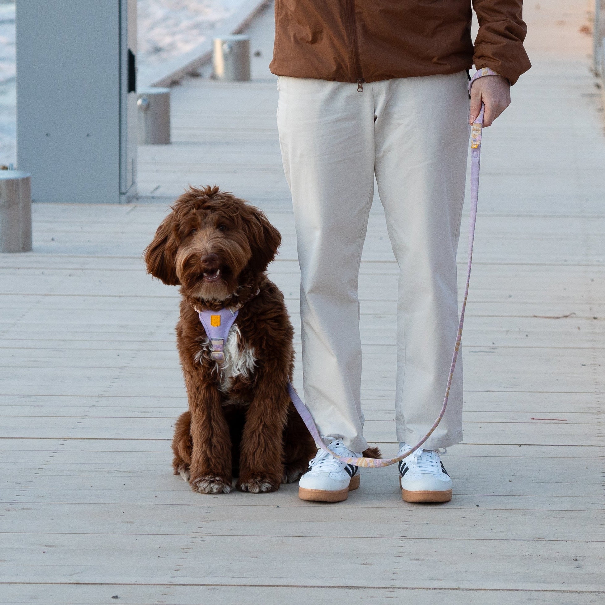 Sunshower Dog Leash - Afbeelding 2