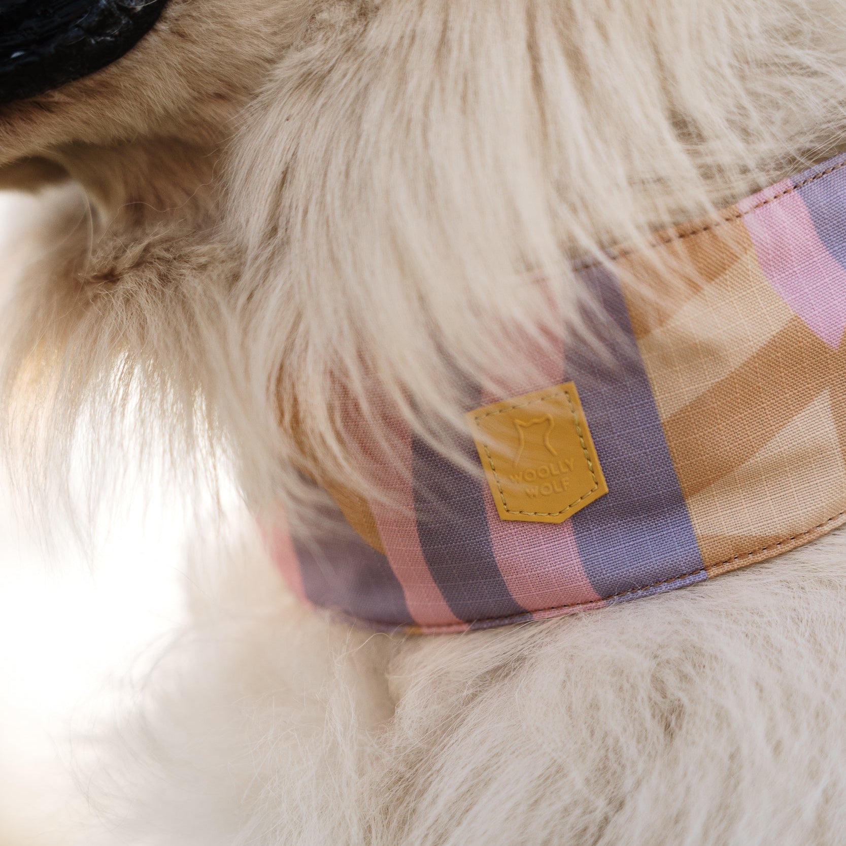 Sunshower Soft Martingale Collar - Afbeelding 7