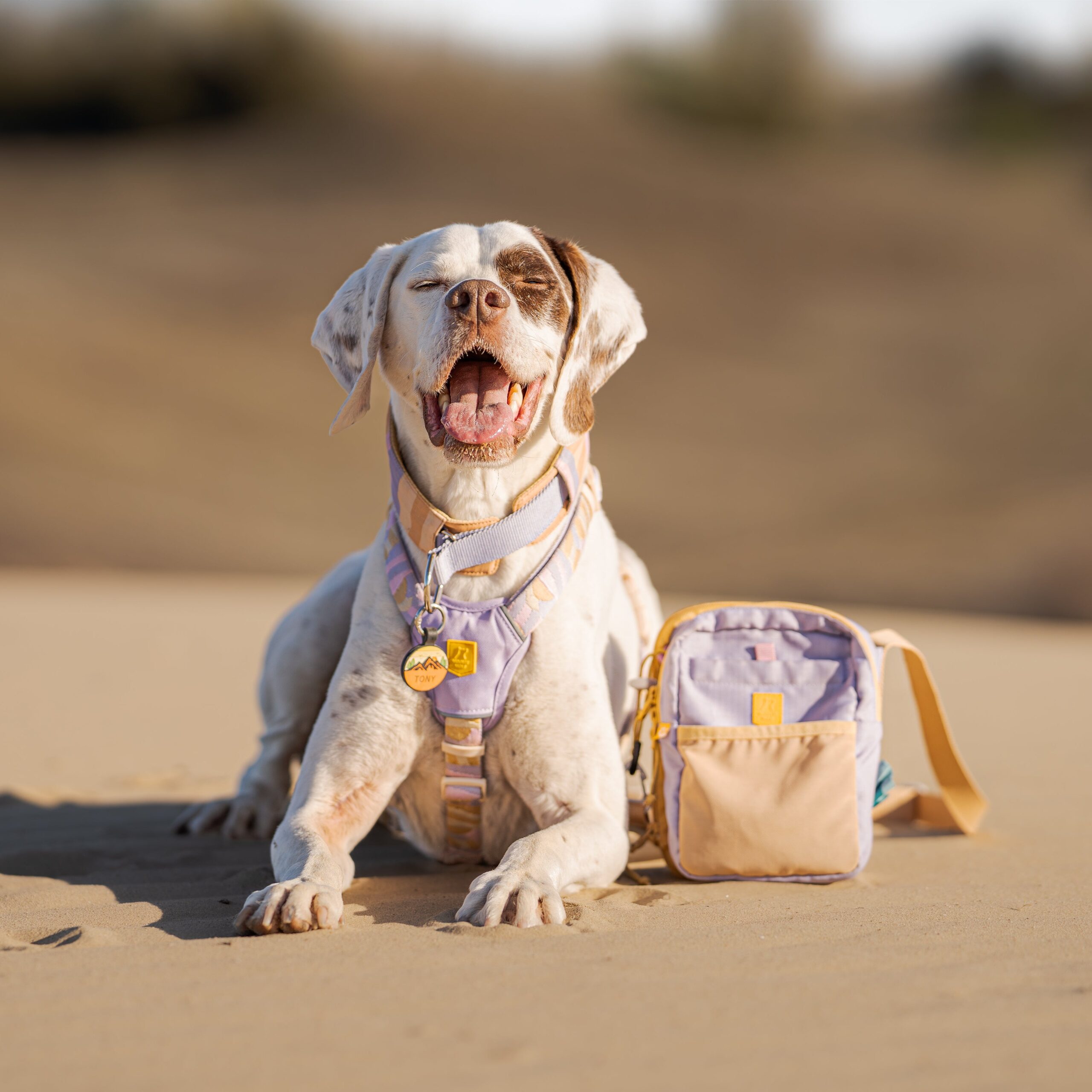 Sunshower Dog Harness - Afbeelding 11