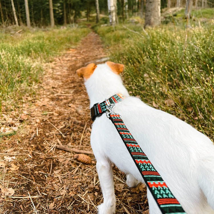 Woodland Dog Leash - Afbeelding 2