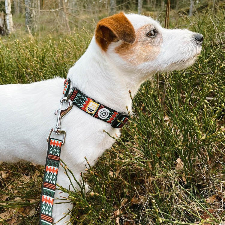 Woodland Dog Leash - Afbeelding 4