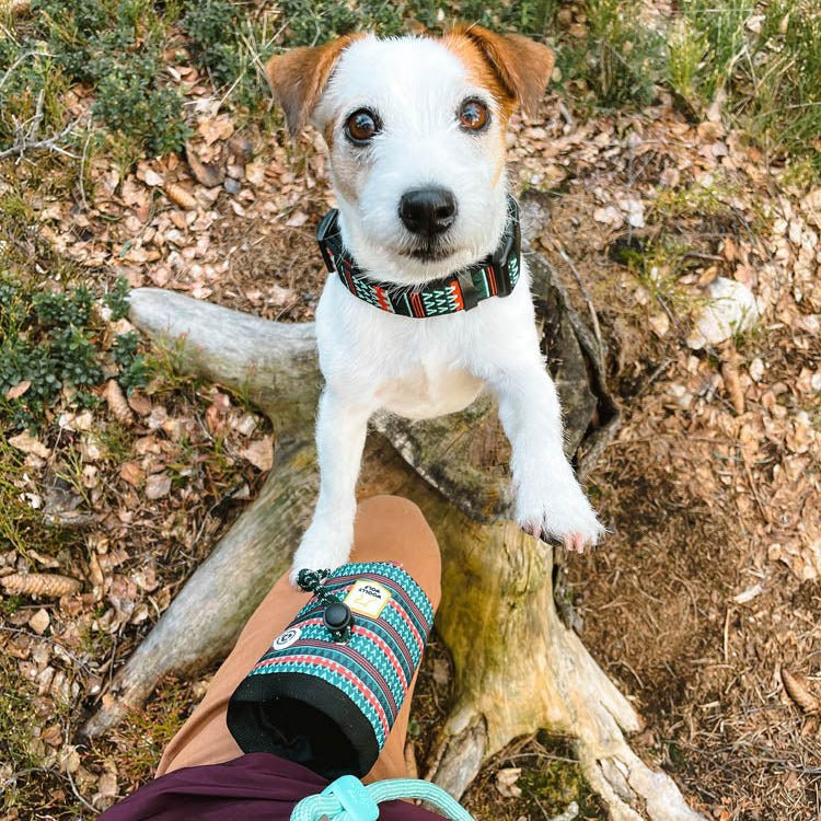 Woodland Dog Snack Bag - Afbeelding 2