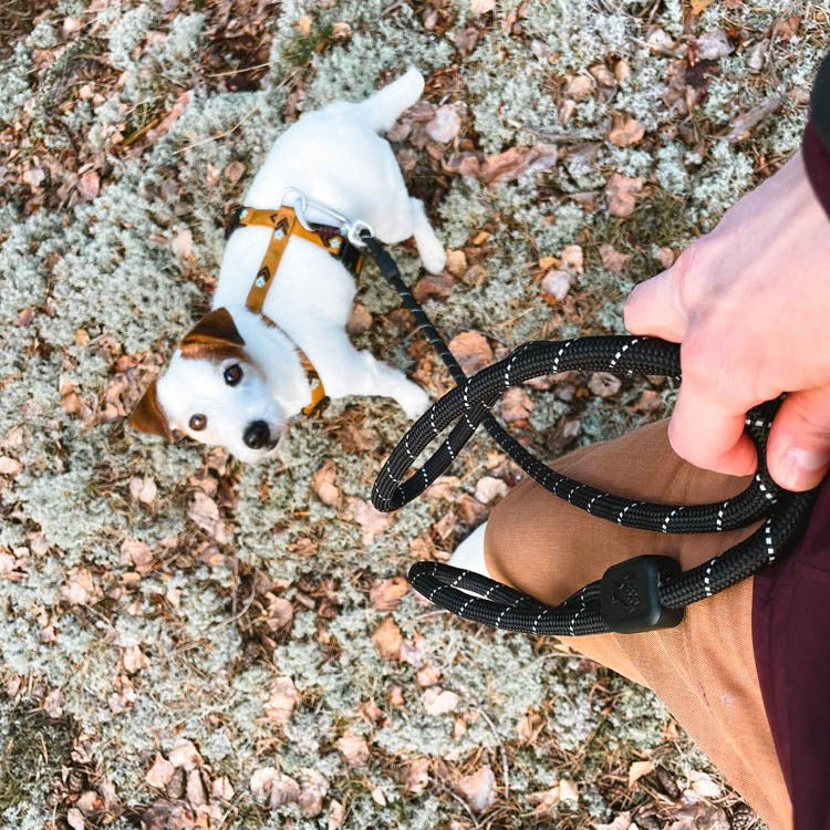 Rope Dog Leash Black - Afbeelding 2